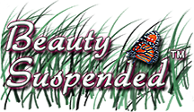 Beauty Suspended